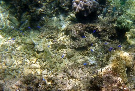 Cairns, IMG_1246
