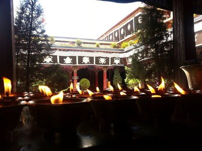 Tibet, bla