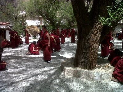 Tibet-Lhasa, IMG00760-20130515-1539