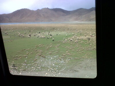 Tibet- De Gyantse à Lhasa en passant par Yamdrok lake, IMG01083-20130522-1614