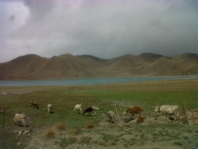 Tibet- De Gyantse à Lhasa en passant par Yamdrok lake, IMG01085-20130522-1615