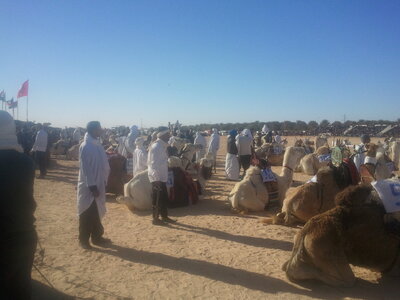 tunisie, 2012-12-23 14.13.49
