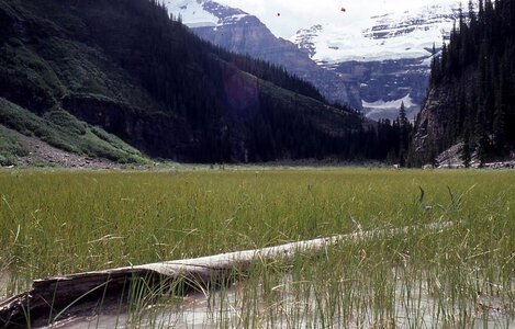 Canada 1992, Lake Louise 06