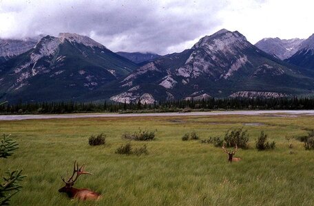 Canada 1992, Vancouver 01
