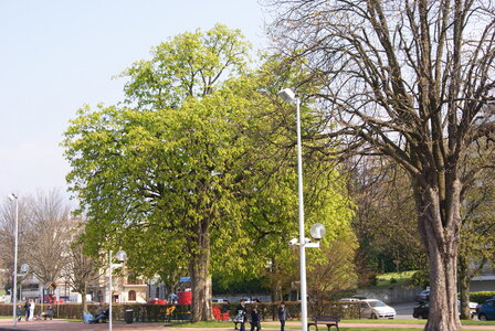 Evian(premier shooting avec mon nouvelle appareil), DSC00093