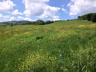 toscane verone, IMG_2314