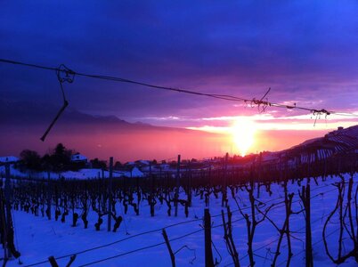 toscane verone, IMG_2104