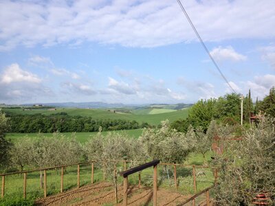 toscane verone, IMG_2281