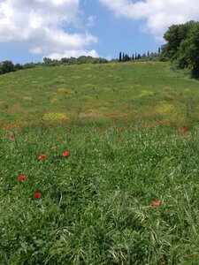 toscane verone, IMG_2321