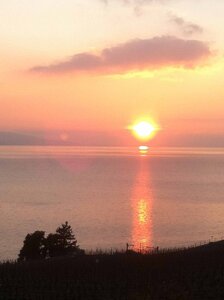 toscane verone, IMG_2132