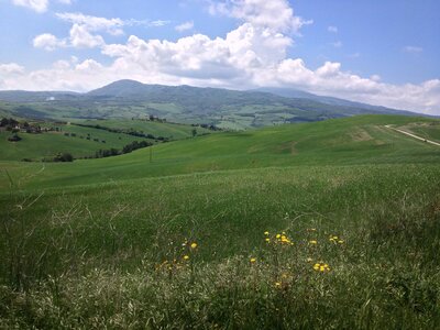 toscane verone, IMG_2304