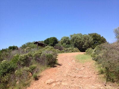 toscane verone, IMG_2453