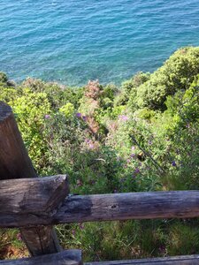 toscane verone, IMG_2471
