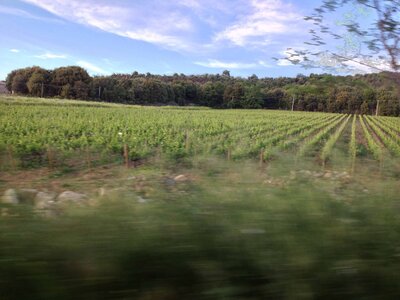 toscane verone, IMG_2617