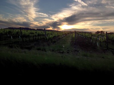 toscane verone, IMG_2639