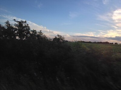 toscane verone, IMG_2641