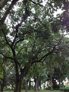 Brisbane, IMG_1379
