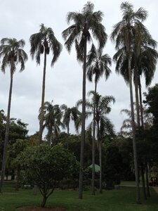 Brisbane, IMG_1380