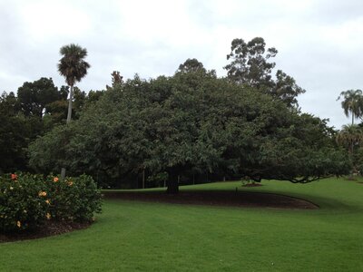Brisbane, IMG_1384