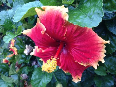 Brisbane, IMG_1385