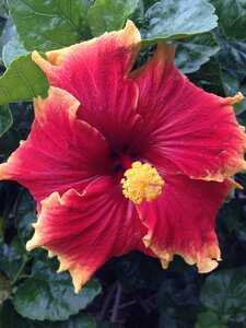 Brisbane, IMG_1386