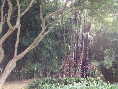 Brisbane, IMG_1391