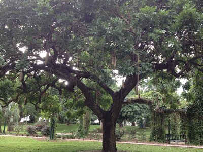 Brisbane, IMG_1392