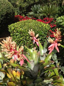Brisbane, IMG_1402