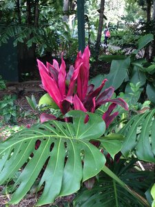 Brisbane, IMG_1406