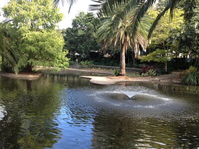 Brisbane, IMG_1413
