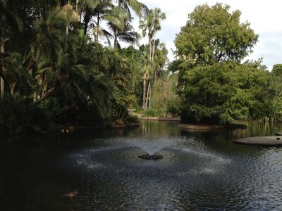 Brisbane, IMG_1415