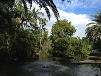 Brisbane, IMG_1416