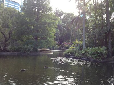 Brisbane, IMG_1421