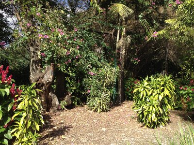 Brisbane, IMG_1428