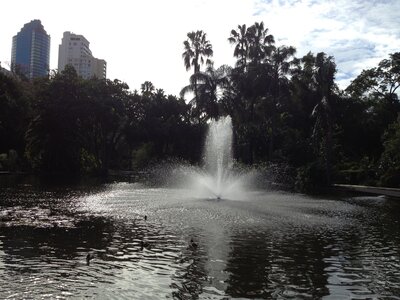Brisbane, IMG_1435
