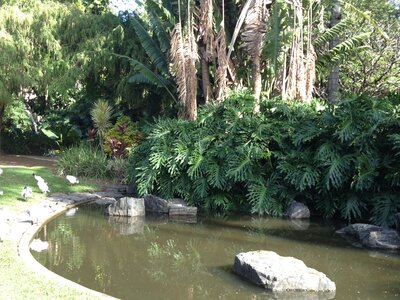 Brisbane, IMG_1437