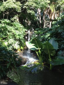 Brisbane, IMG_1438