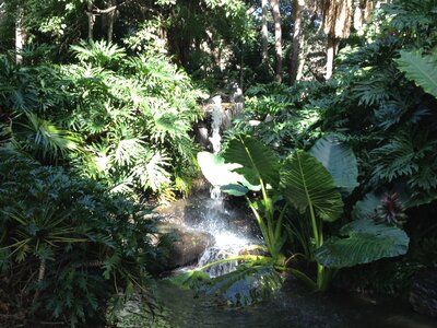 Brisbane, IMG_1439