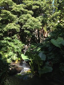 Brisbane, IMG_1440