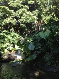 Brisbane, IMG_1442