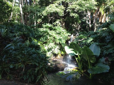 Brisbane, IMG_1443