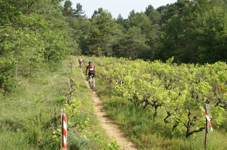 2013-06-09 - La Roche Amère 2013, DSC01246