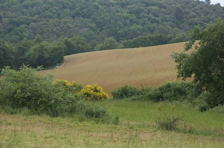 2013-06-09 - La Roche Amère 2013, DSC01268