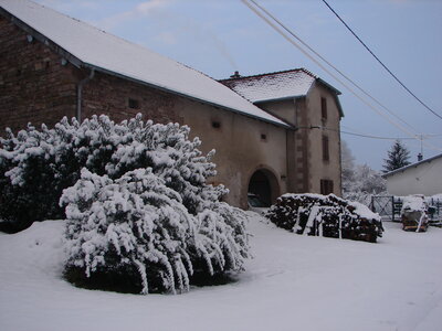 2009-02-08 Neige Frédéric-Fontaine, DSC01669