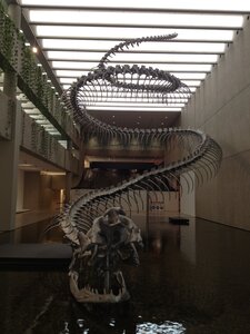 Brisbane, IMG_1471
