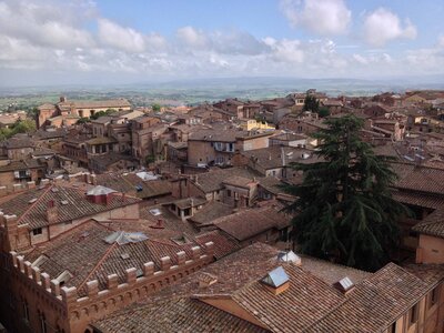 toscane verone, IMG_2741