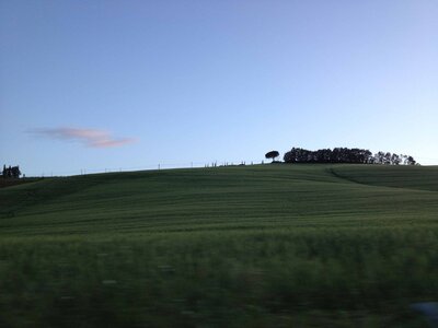 toscane verone, IMG_2787