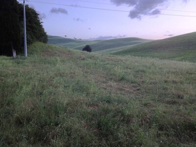 toscane verone, IMG_2794