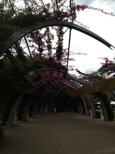 Brisbane, IMG_1489