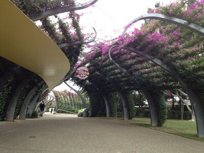 Brisbane, IMG_1490